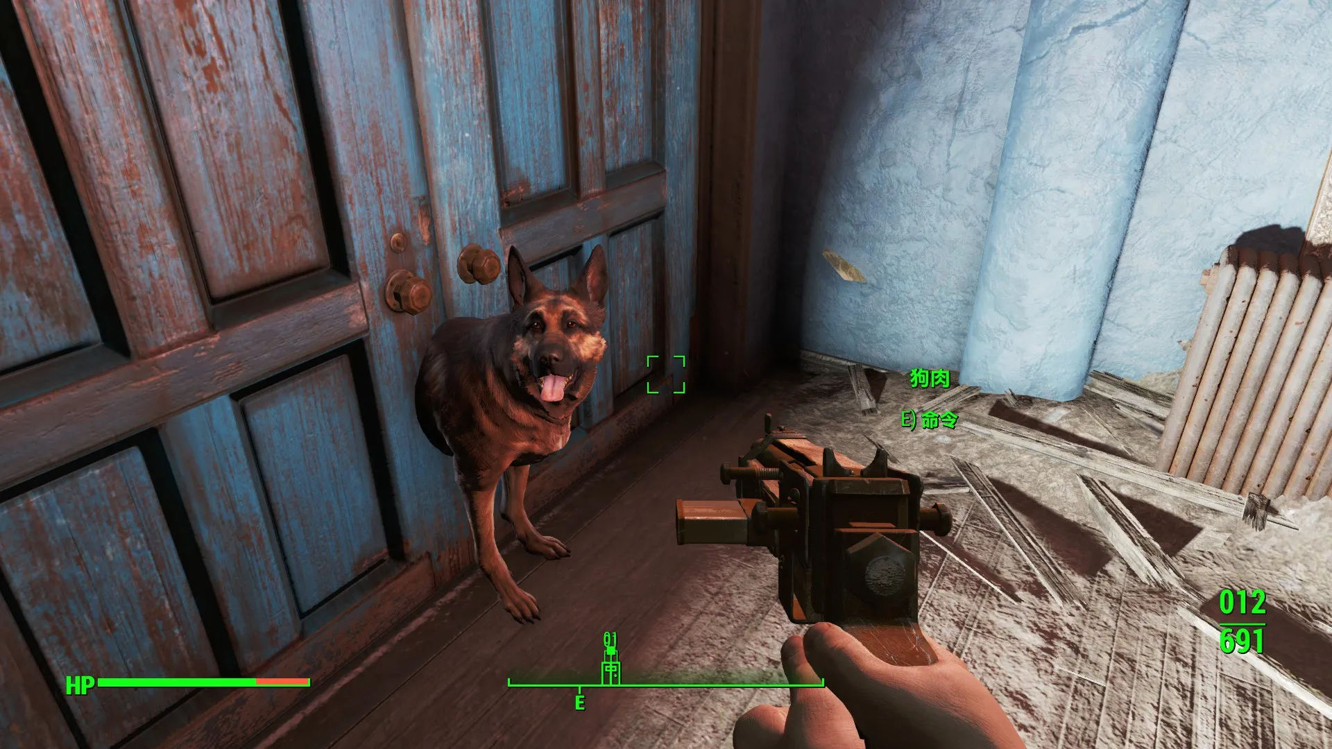 dog in the door